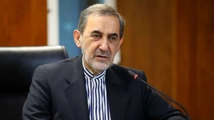  ولایتي: سنیپ بیک د لویدیځ د ناتوانۍ او عاجزۍ نښه ده