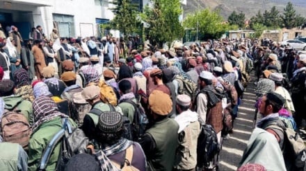 ۴۰۰ جوان پنجشیری به اردوی‌ طالبان جذب شدند