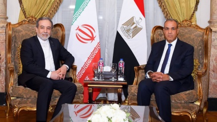 عراقچی: ایران برای تدوین شیوه‌نامه تعامل با آژانس بین‌المللی انرژی اتمی آمادگی دارد 