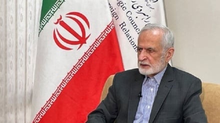 Kharrazi: Regional countries should take the threat of the Zionist regime seriously