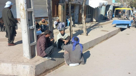 باشندگان ننگرهار از افزایش بیکاری شکایت کردند