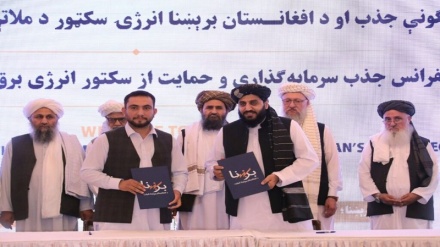 امضای قراردادهای تولید بیش از ۹ هزار مگاوات برق در افغانستان
