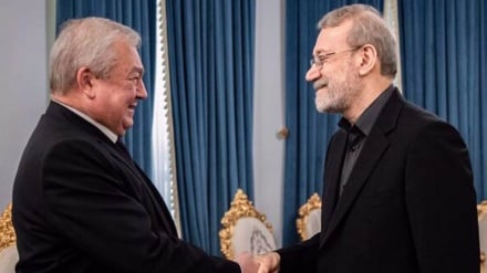 Larijani aishukuru Russia kwa kuiunga mkono Tehran katika Baraza la Usalama 