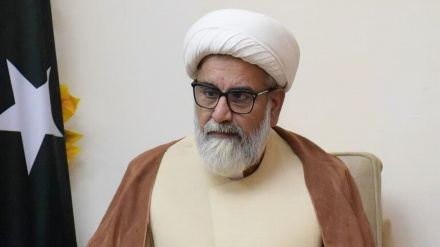 سناتور پاکستانی: باید در کنار فلسطینیان باشیم نه اشغالگران