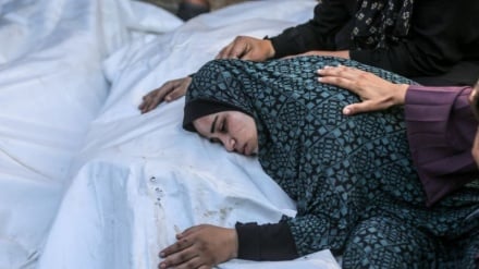 Überführung der Leichname von 30 weiteren palästinensischen Märtyrern nach Gaza