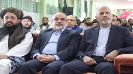 سفیر ایران در افغانستان: ظرفیت‌های مشترک زراعت و مالداری باید فعال شود