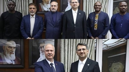از جذب سرمایه‌گذاری در جزیره کیش  تا تقویت مناسبات اقتصادی ایران با مالی و نیجریه