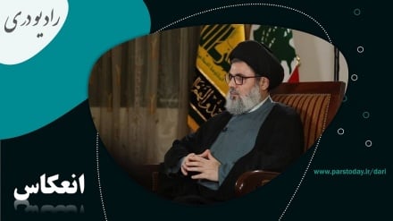 کارنامه مبارزاتی شهید سید هاشم صفی الدین 