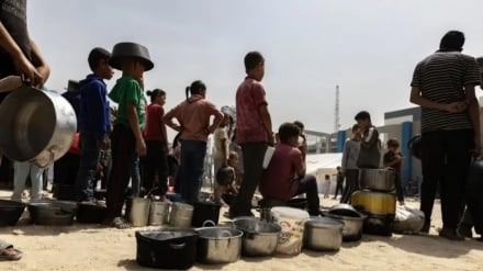 Human Rights Watch Европы: Израиль продолжает использовать голод, как инструмент геноцида