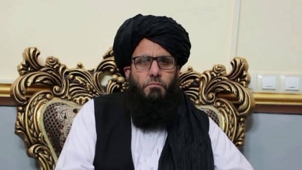 د افغانستان او ایران تر منځ ترانزیټي همکارۍ پراختیا مومي