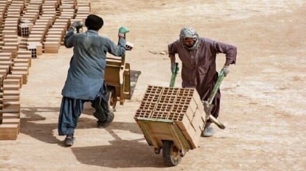 آغاز صدور ویزای کار برای اتباع افغانستانی در ایران  