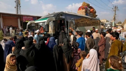 تشدید اخراج پناهجویان افغان از پاکستان پس از افزایش تنش‌ها