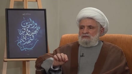 شیخ نعیم قاسم: پشتیبانی از غزه یک اقدام درست بود