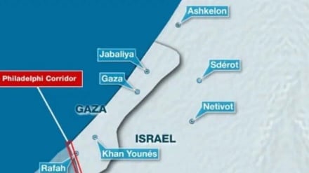 Misri na vita vya Gaza; Kujaribu kufuata mkakati wa uwastani
