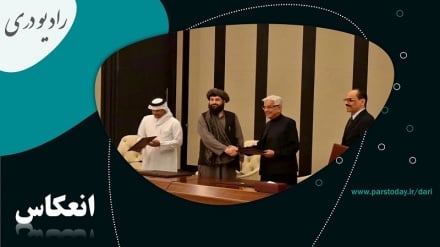 استقبال از توافق آتش بس میان افغانستان و پاکستان 