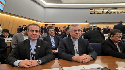 تاکید ایران بر حفاظت از محیط زیست دریایی و اجرای متوازن تعهدات
