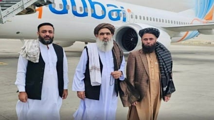 سرپرست وزارت صحت عامه افغانستان به عربستان رفت