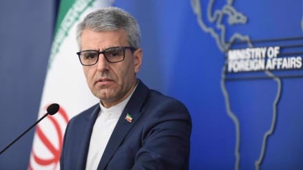 Kemenlu Iran Reaksi Penyiksaan Warga Swedia yang Mendukung Palestina oleh Tentara Israel