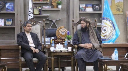 علاقه‌مندی ایران به سرمایه‌گذاری در احداث سردخانه‌ در شرق افغانستان