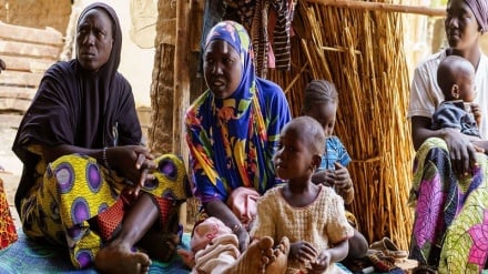 UNHCR yahimiza kuchukuliwa hatua kukabiliana na tatizo kubwa la wakimbizi katika eneo la Sahel 
