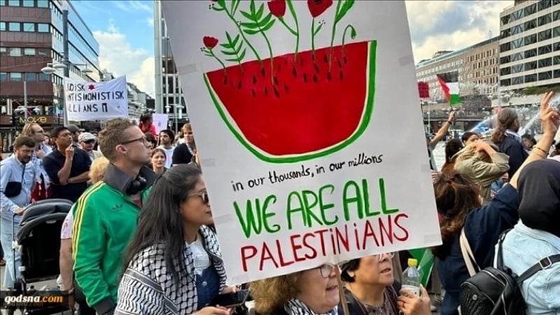 Manifestazioni di sostegno alla Palestina in diversi paesi del mondo