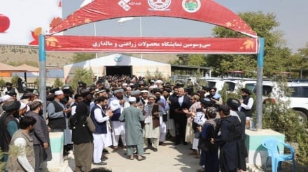 گشایش نمایشگاه محصولات زراعتی و مالداری افغانستان در کابل