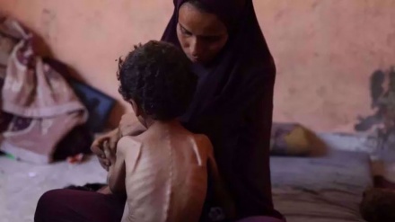 Gaza : Israël viole les termes du cessez-le-feu et refuse d’ouvrir le point de passage de Rafah