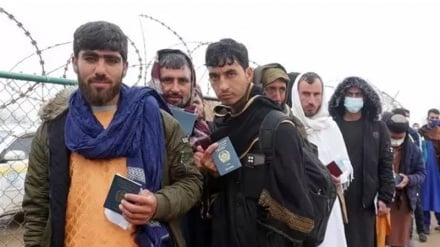 د سرحدي تاو تریخوالي له زیاتېدو وروسته د پاکستان له خوا د افغان کډوالو ویستل شدت موندلی