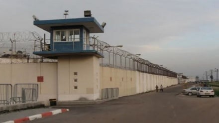 نگهداری بازداشت‌شدگان ناوگان صمود در بدترین زندان رژیم اسرائیل