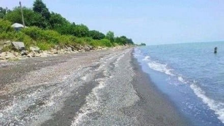Kaspi dıyo kənonədə dənıştə vıron həmmə de puli bəben
