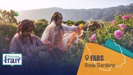 Fars, Ibu Kota Mawar Iran; Tempat Tradisi, Perdagangan, dan Pariwisata Berkembang Pesat