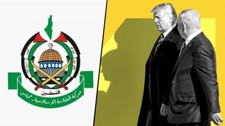 Eksperti i marrëdhënieve ndërkombëtare: Përgjigja e Hamasit ndaj Trumpit ishte një skenar i zgjuar