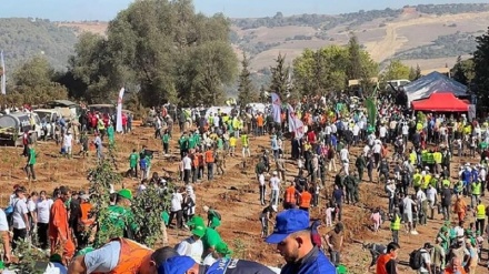 Pour une Algérie plus verte  