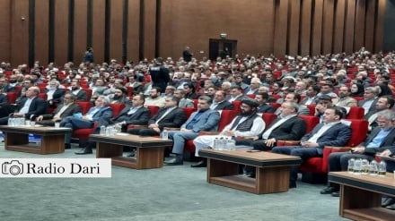 اجلاس توسعه همکاری های مشترک ایران و افغانستان 