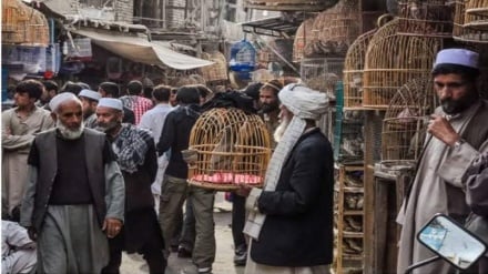  گزارش بانک جهانی درباره بهبود نسبی اقتصاد منطقه و افغانستان