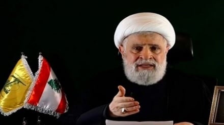 شیخ نعیم قاسم: سلاح حزب الله بخشی از قدرت لبنان است