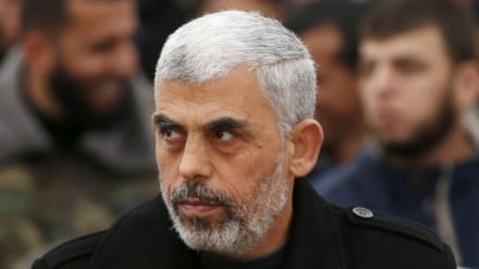 د يحيی سنوار د شهادت لومړۍ کليزه: د حماس د مقاومت د دوام پياوړی عزم جریان لري