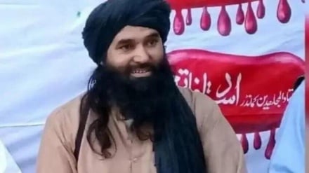 سرکرده ارشد تحریک طالبان پاکستان کشته شد