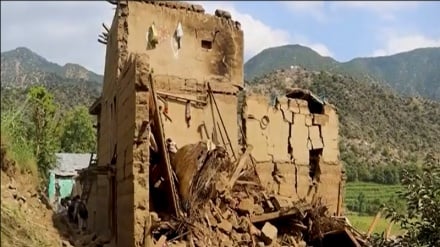 درپی زلزله مرگبار کنر، هزاران راس مواشی تلف گردید