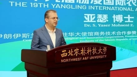 İran ve Çin Arasında Tarım Teknolojileri İş Birliğinin Artırılması