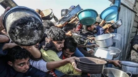 Humanitarian catastrophe in Gaza; two years of siege and famine crisis
