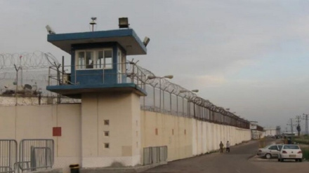 La détention des militants de la flottille internationale Sumud dans la pire prison du régime sioniste