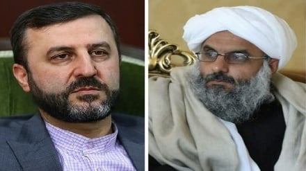 کشت فراسرزمینی و گسترش پروژه‌های ریلی؛ پیشنهاد والی هرات به مقام‌های ایرانی