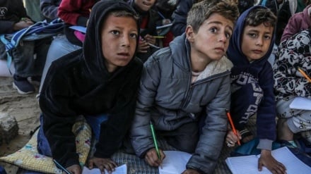 Gaza’s education system devastated: 97% of schools destroyed