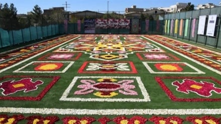 שטיח הפרחים הגדול ביותר במזרח התיכון נחשף בעיר מחאלאת שבאיראן