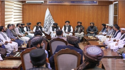 طالبان از کارشناسان حامی در جنگ پاکستان تقدیر کرد