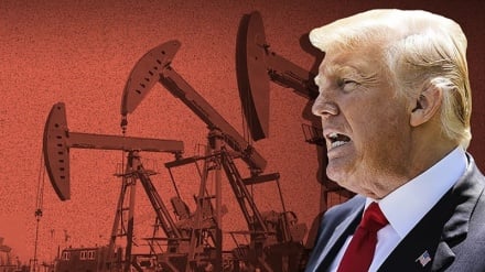 Presión de EEUU a Tokio para que deje de comprar petróleo ruso / Aumentan los bebés nacidos de padres extranjeros 