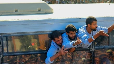 برخی اسیران فلسطینی در زندان‌های اسراییل دچار نقص عضو شده‌اند