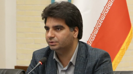 دریافت مجوز فعالیت سرمایه‌گذاری در ایران توسط 9 شرکت خارجی