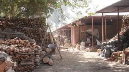 رونق بازار فروش چوب همزمان با نزدیک شدن فصل سرما